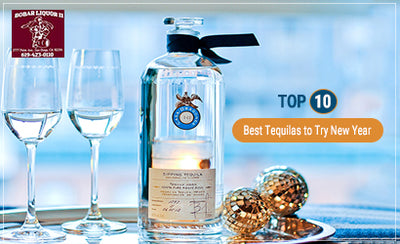 Top 10 Best Tequilas to Try New Year